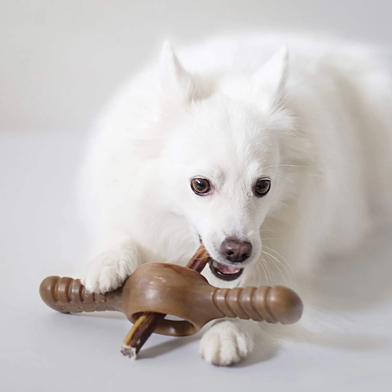 Benebone Pawplexer Durable Dog Toy- Interactive