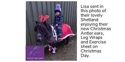 Christmas Exercise Sheet
