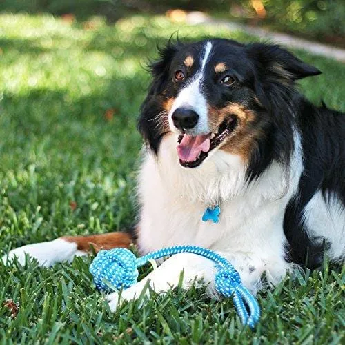 Pacific Pups Products supporting pacificpuprescue.com Dog Rope Toys for Aggressive Chewers - Set of 11 Nearly Indestructible Dog Toys - Bonus Giraffe Rope Toy - Benefits NONPROFIT Dog Rescue